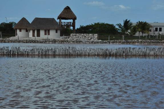 Salinas e região de flamingos no litoral norte do Yucatán, no México